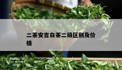 二茶安吉白茶二级区别及价格