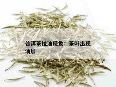 普洱茶拉油现象：茶叶出现油层