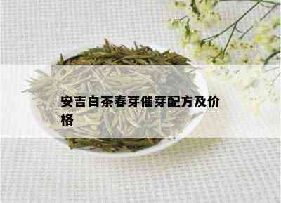 安吉白茶春芽催芽配方及价格