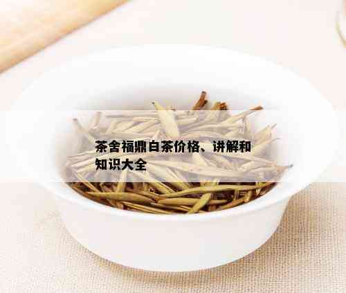 茶舍福鼎白茶价格、讲解和知识大全