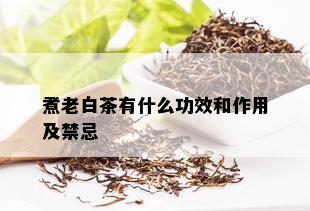 煮老白茶有什么功效和作用及禁忌