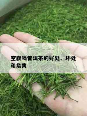 空腹喝普洱茶的好处、坏处和危害