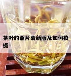 茶叶的照片清新版及如何拍摄