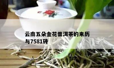 云南五朵金花普洱茶的来历与7581砖