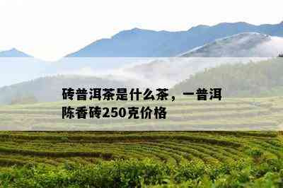 砖普洱茶是什么茶，一普洱陈香砖250克价格