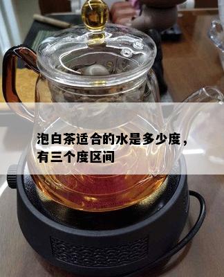 泡白茶适合的水是多少度，有三个度区间
