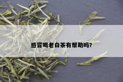 感冒喝老白茶有帮助吗？