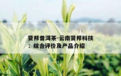 贤邦普洱茶-云南贤邦科技：综合评价及产品介绍