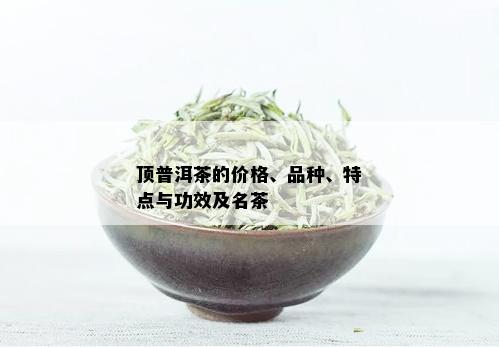 顶普洱茶的价格、品种、特点与功效及名茶