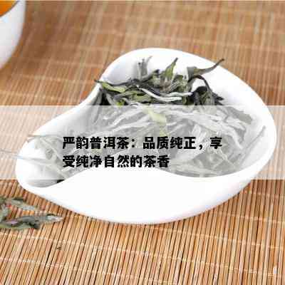 严韵普洱茶：品质纯正，享受纯净自然的茶香