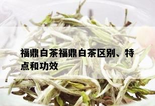 福鼎白茶福鼎白茶区别、特点和功效