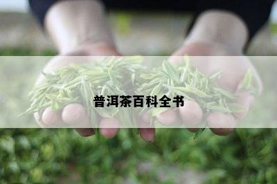 普洱茶百科全书