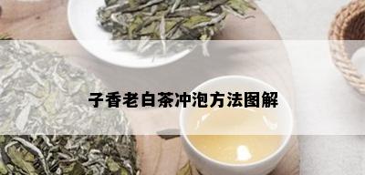 子香老白茶冲泡方法图解