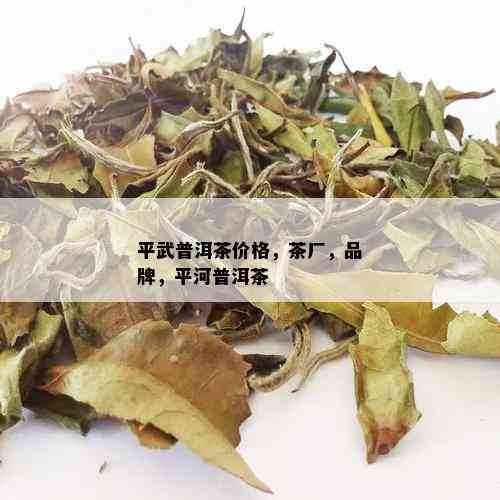 平武普洱茶价格，茶厂，品牌，平河普洱茶