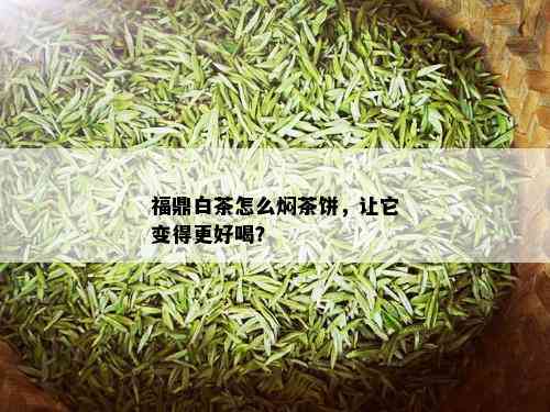 福鼎白茶怎么焖茶饼，让它变得更好喝？