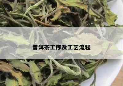 普洱茶工序及工艺流程