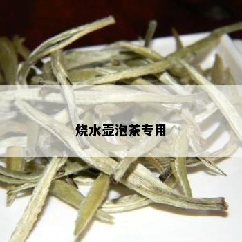 烧水壶泡茶专用