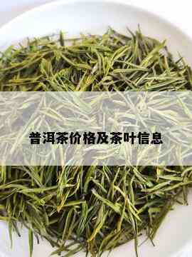 普洱茶价格及茶叶信息