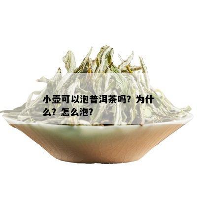 小壶可以泡普洱茶吗？为什么？怎么泡？