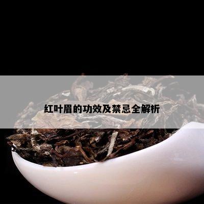 红叶眉的功效及禁忌全解析