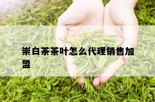 崇白茶茶叶怎么代理销售加盟