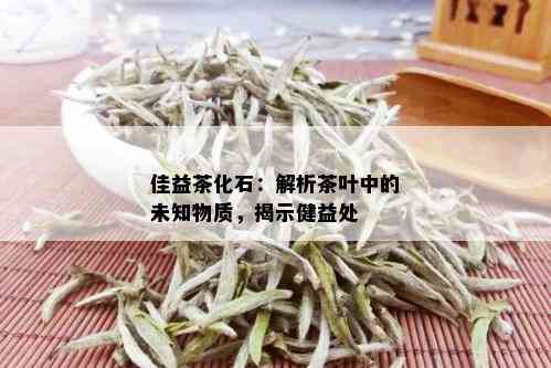 佳益茶化石：解析茶叶中的未知物质，揭示健益处