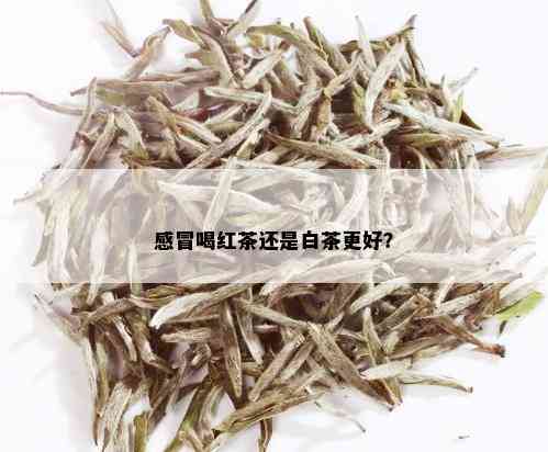 感冒喝红茶还是白茶更好？