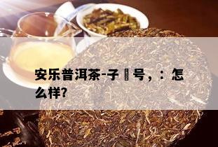 安乐普洱茶-子燊号，：怎么样？