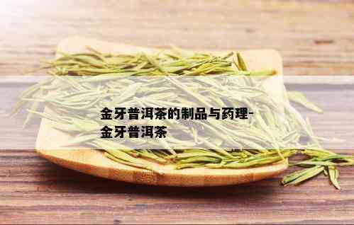 金牙普洱茶的制品与理-金牙普洱茶