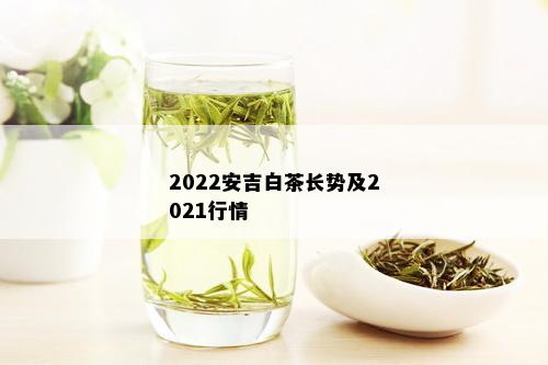 2022安吉白茶长势及2021行情