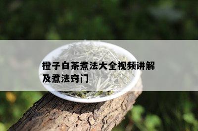 橙子白茶煮法大全视频讲解及煮法窍门