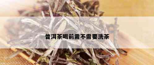 普洱茶喝前需不需要洗茶