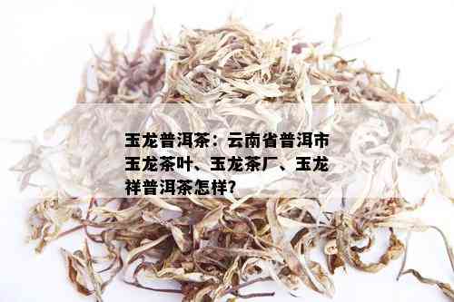 玉龙普洱茶：云南省普洱市玉龙茶叶、玉龙茶厂、玉龙祥普洱茶怎样？