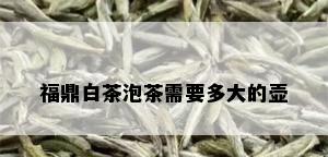 福鼎白茶泡茶需要多大的壶