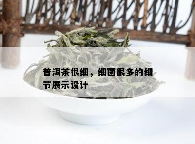 普洱茶很细，细菌很多的细节展示设计