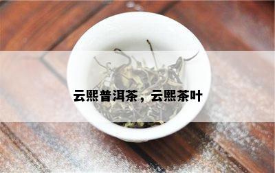 云熙普洱茶，云熙茶叶