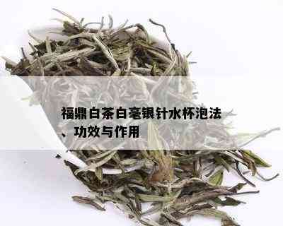 福鼎白茶白毫银针水杯泡法、功效与作用