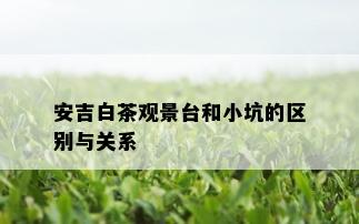 安吉白茶观景台和小坑的区别与关系