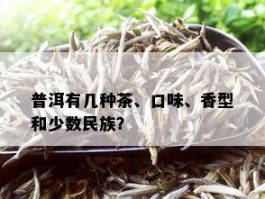 普洱有几种茶、口味、香型和少数民族？