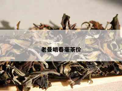 老曼峨春毫茶价