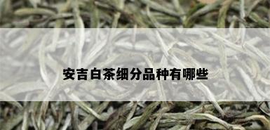 安吉白茶细分品种有哪些