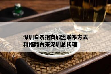 深圳白茶招商加盟联系方式和福鼎白茶深圳总代理