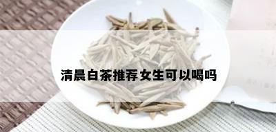 清晨白茶推荐女生可以喝吗