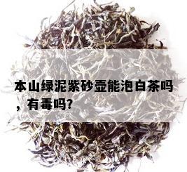 本山绿泥紫砂壶能泡白茶吗，有吗？