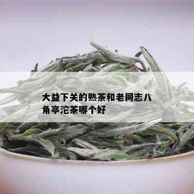 大益下关的熟茶和老同志八角亭沱茶哪个好