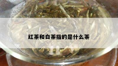 红茶和白茶指的是什么茶