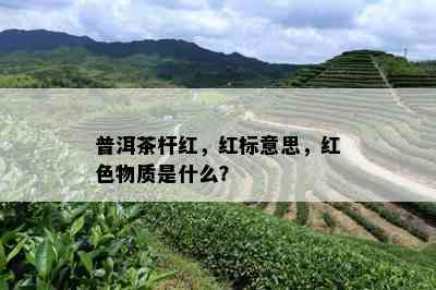 普洱茶杆红，红标意思，红色物质是什么？