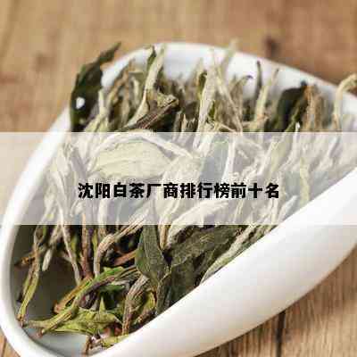 沈阳白茶厂商排行榜前十名