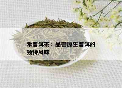 禾普洱茶：品尝原生普洱的独特风味