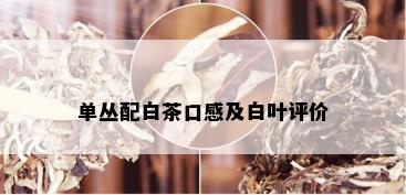 单丛配白茶口感及白叶评价